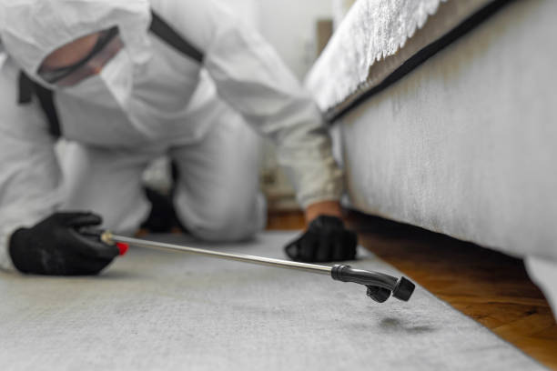 Professional Bed Bug Control technician working in Glen Alpine, NC