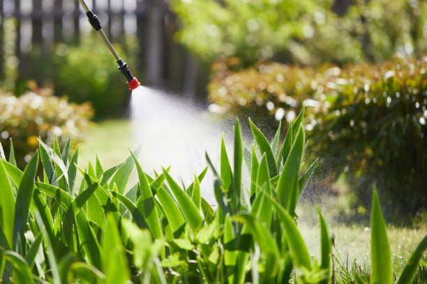 24/7 Emergency Bed Bug Control experts in Glen Alpine, NC